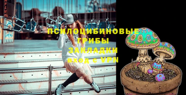 PSILOCYBIN Беломорск