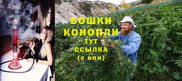 PSILOCYBIN Беломорск